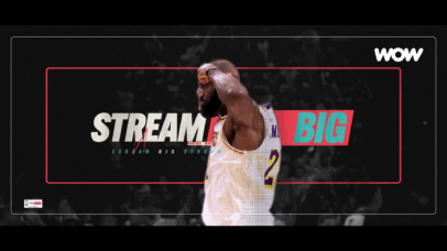 WOW:  NBA Generic Image